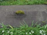 image of grave number 409954
